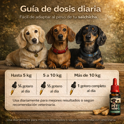 CalmSaus™ Hemp Oil - Apoyo natural para perros ansiosos