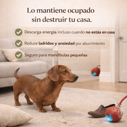 DachZen™ - Menos destrucción. Más equilibrio emocional.