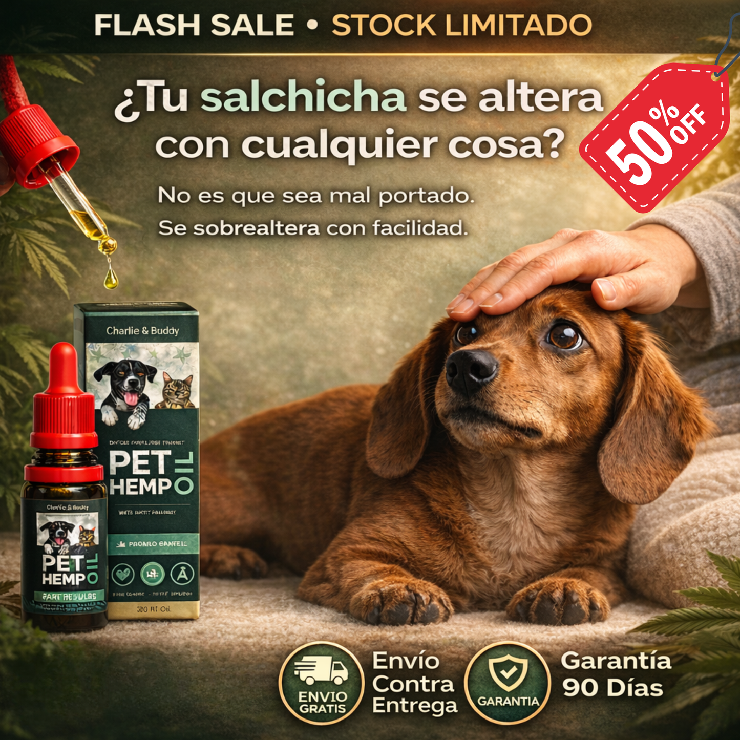 CalmSaus™ Hemp Oil - Apoyo natural para perros ansiosos
