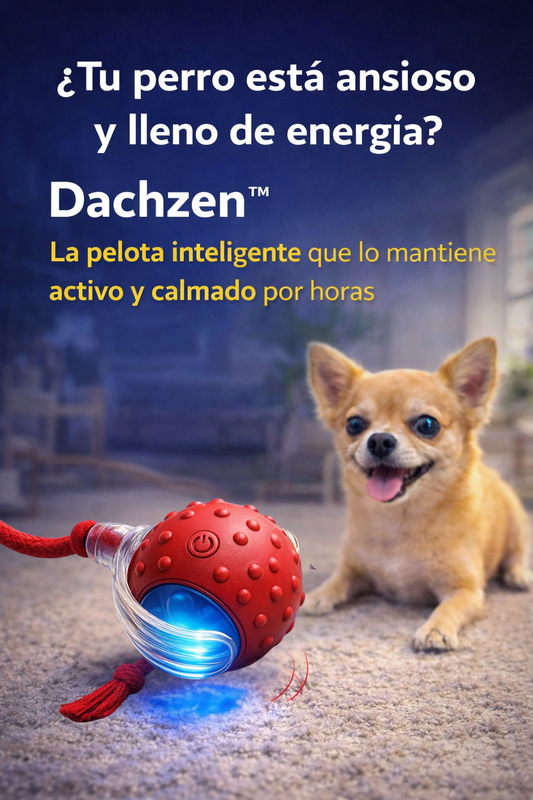 DachZen™ - Todas las razas